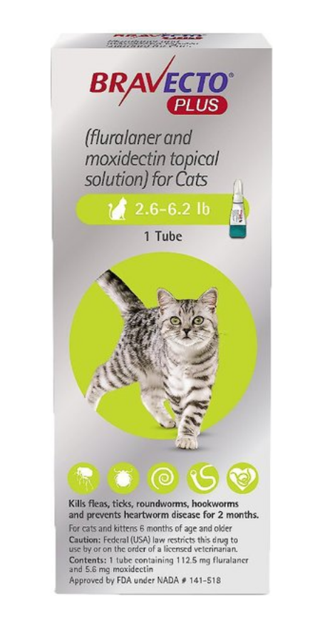 Bravecto for Cats
