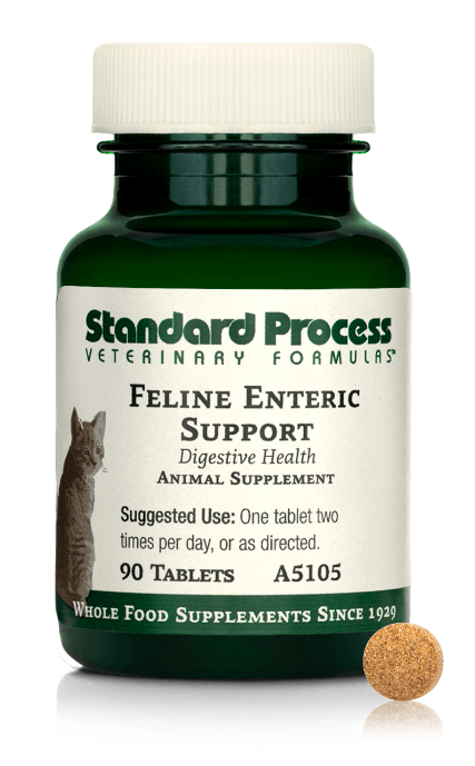 Feline Enteric Support