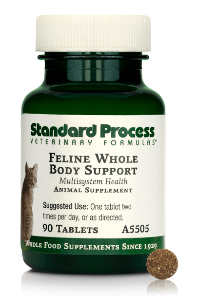 Feline Whole Body Support